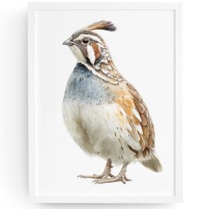 Watercolor Quail Wall Art Print, Unframed - Vibrant Nature-Inspired Home Decor